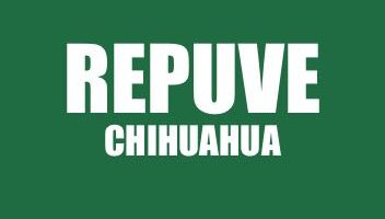 INFO REPUVE CHIHUAHUA