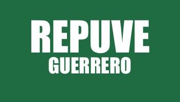 INFO REPUVE GUERRERO
