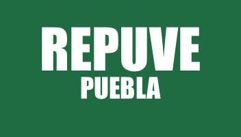 INFO REPUVE PUEBLA