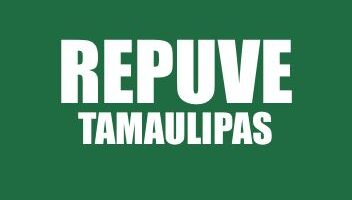INFO REPUVE TAMAULIPAS